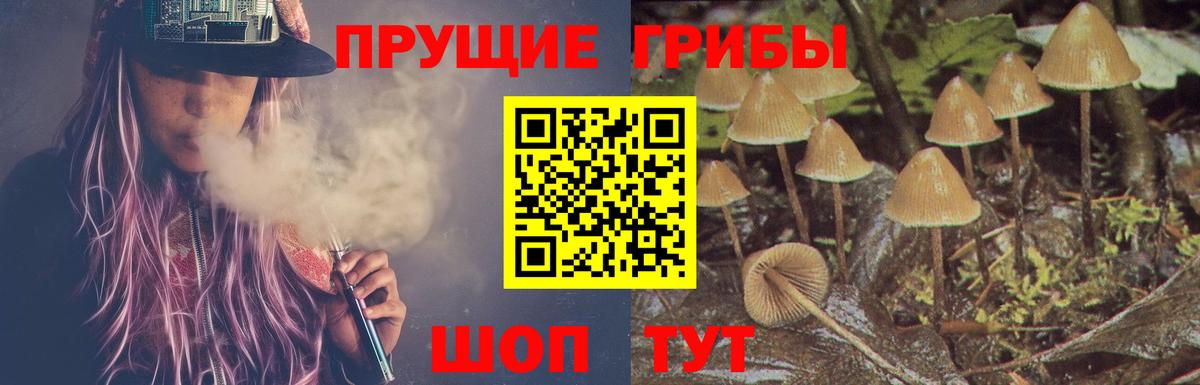 Галлюциногенные грибы Cubensis  Вход с VPN  Галлюциногенные грибы прущие грибы  Ефремов 
